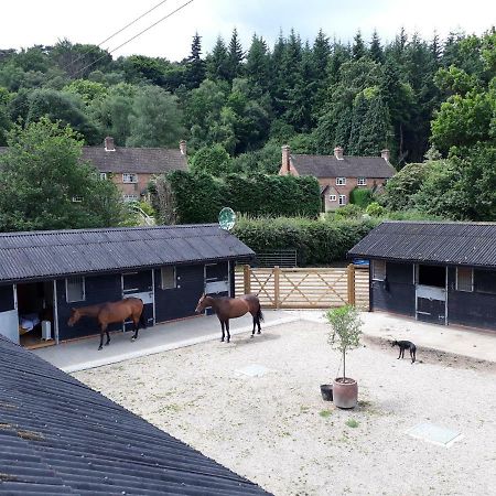 Вилла Crockers Farm Доркинг Экстерьер фото