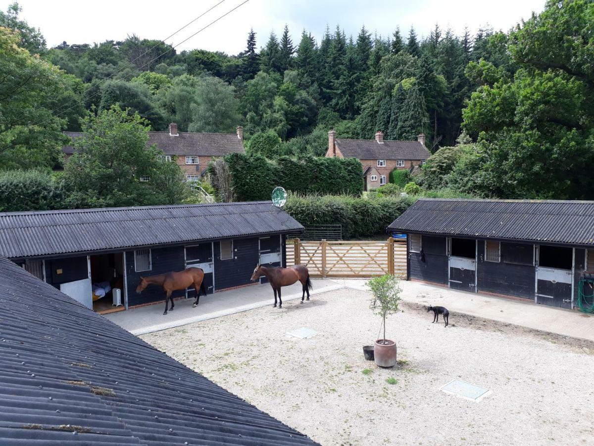 Вилла Crockers Farm Доркинг Экстерьер фото